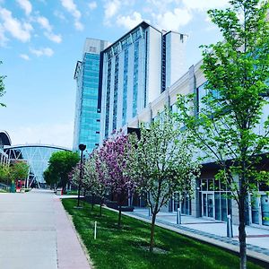 Sait Residence & Conference Centre - Calgary